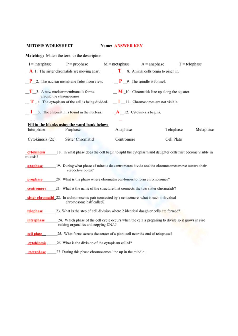 10 Free Printable Mitosis Worksheet Answers For Students Worksheets Library 10 Free Printable Mitosis Worksheet Answers For Students Worksheets Library