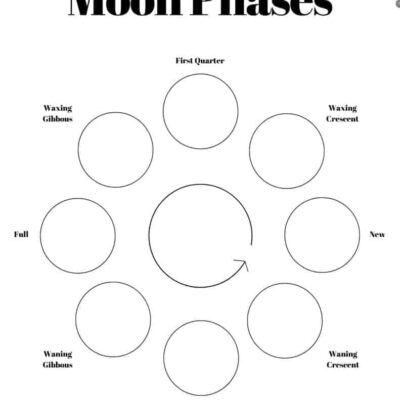 13 Free Printable Moon Phases Worksheets The 8 Phases Of The Moon