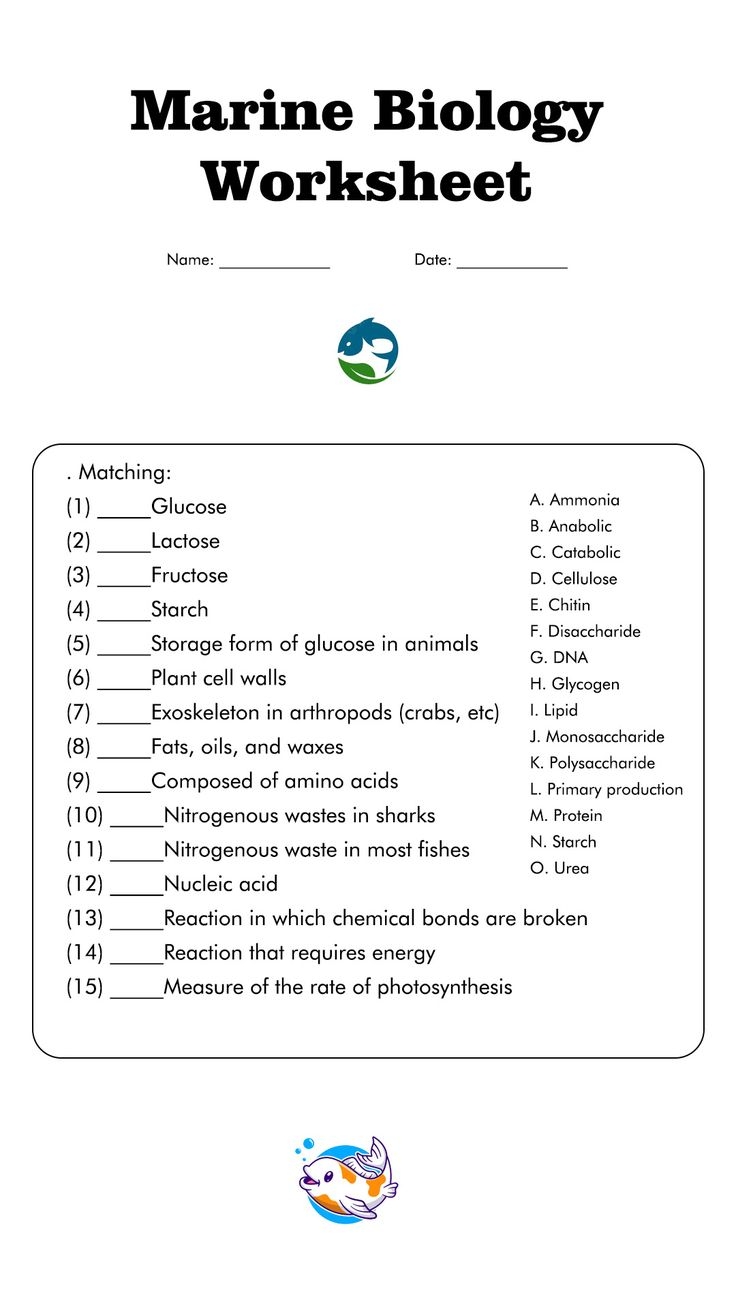 19 Free Printable Biology Worksheets