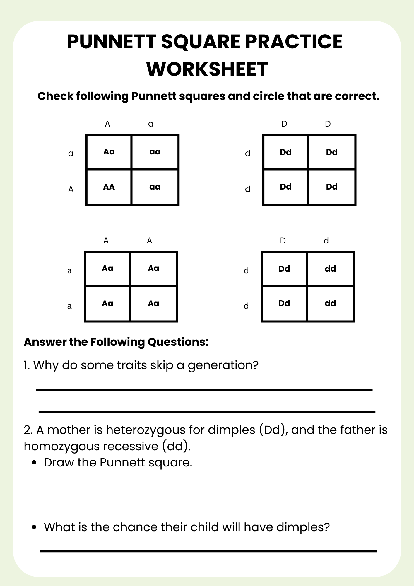40 Punnett Square Practice Worksheet To Download In PDF
