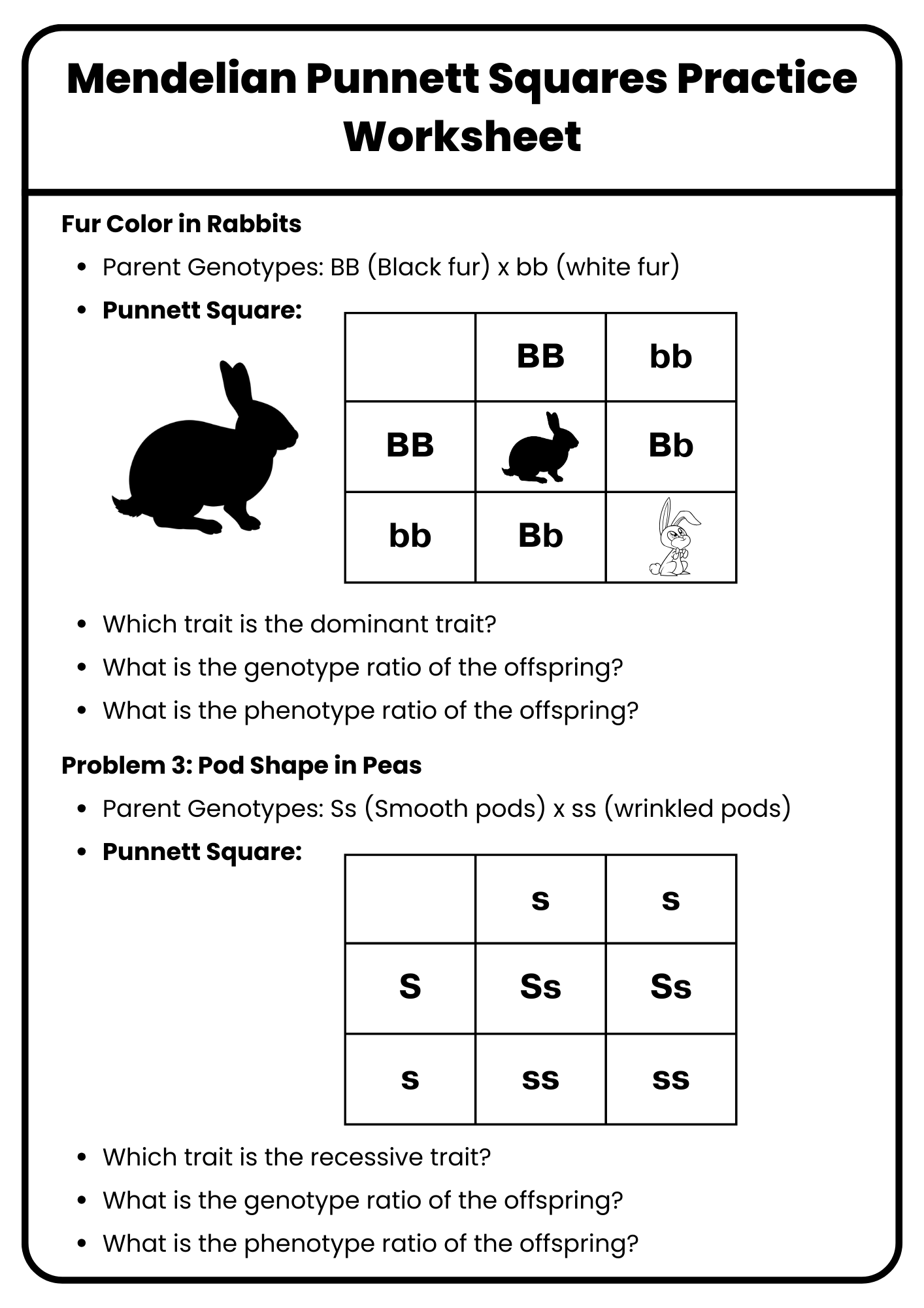 40 Punnett Square Practice Worksheet To Download In PDF