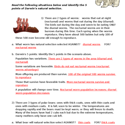 5 Points Of Darwin s Natural Selection Answer Key Biology 101 Studocu