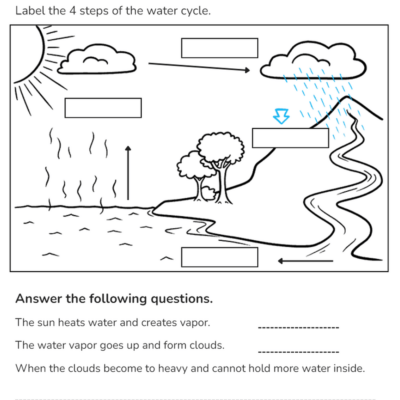 5th Grade Water Cycle Worksheets Printable