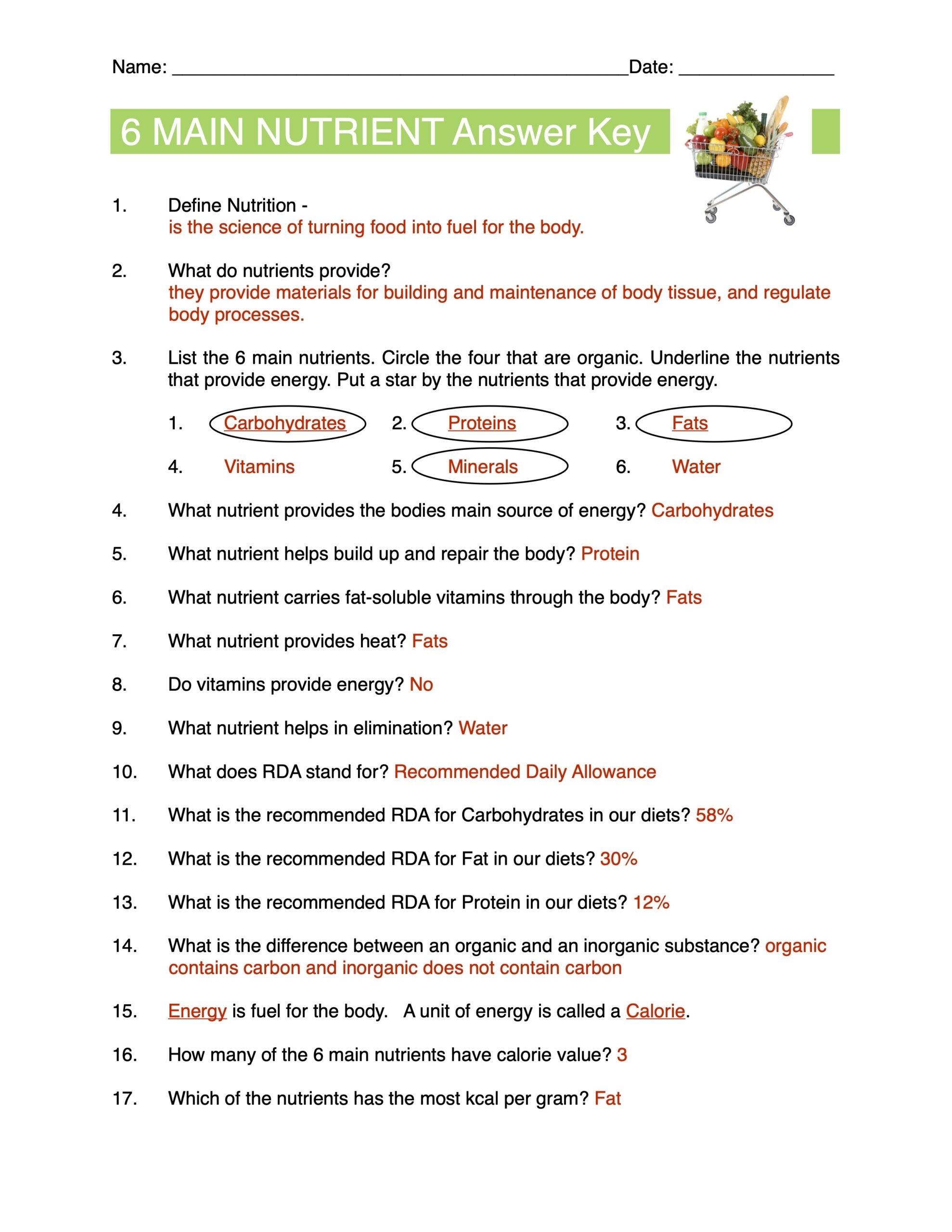 6 Main Nutrients Content Sheet Worksheet And Answer Key Made By Teachers