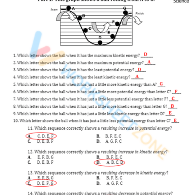 7th Grade Kinetic Potential Energy Worksheets