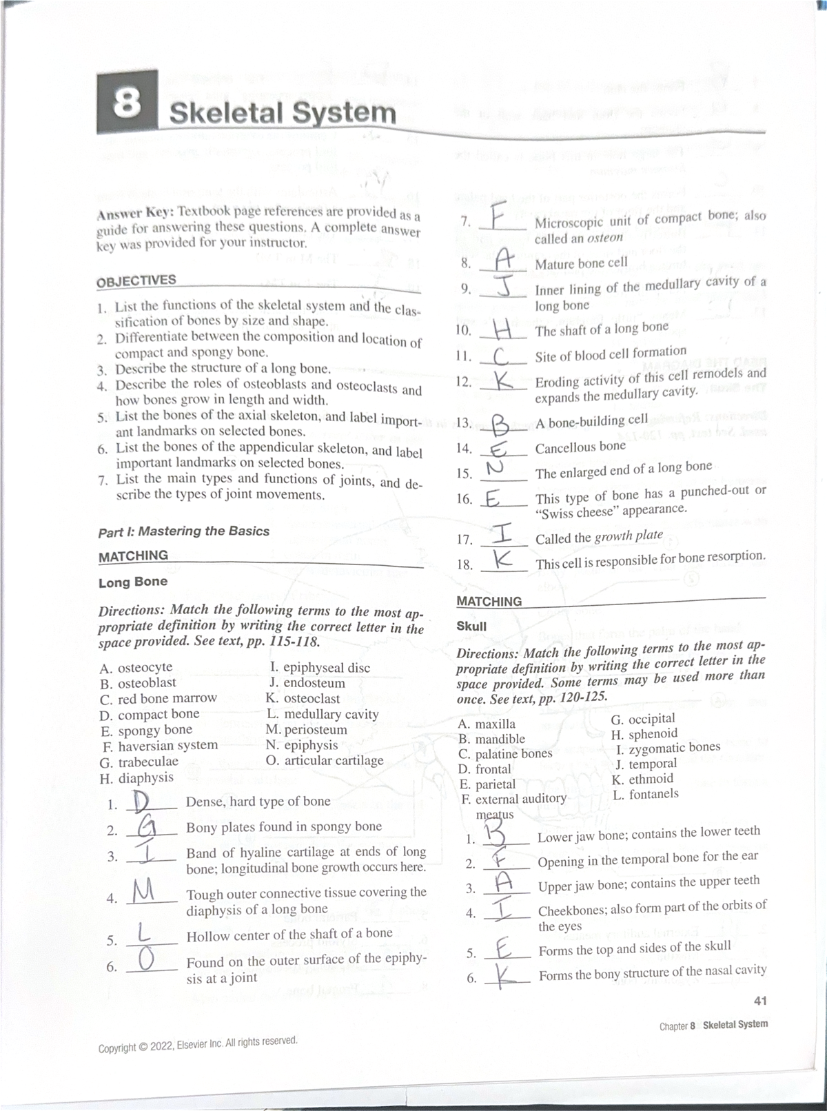 8 Skeletal System Answer Key And Worksheet Studocu