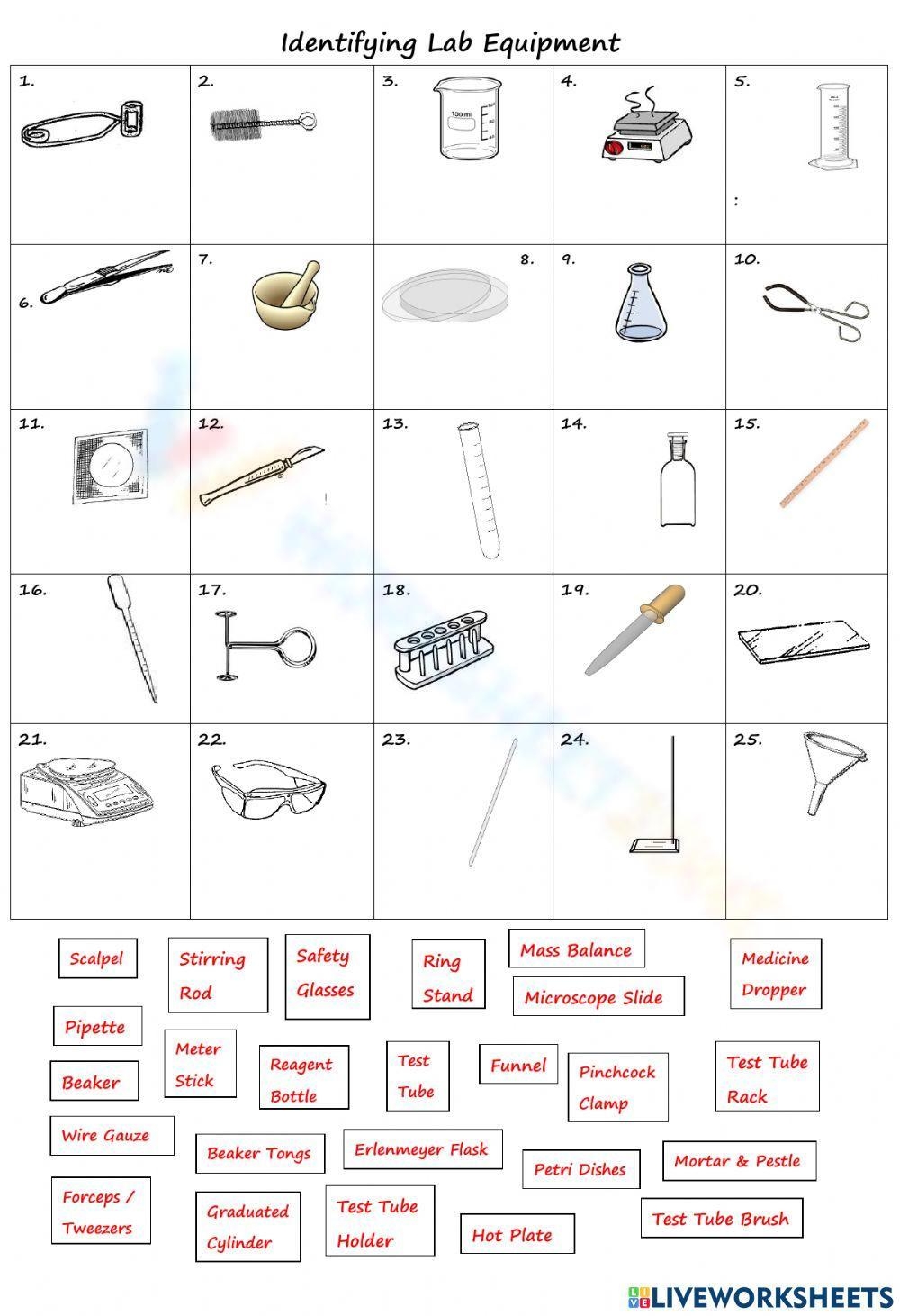 8th Grade Lab Equipment Worksheets