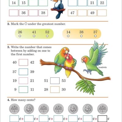 Abeka Arithmetic 1 1st Grade 1 Mathematics Student Work Text Worksheets Library