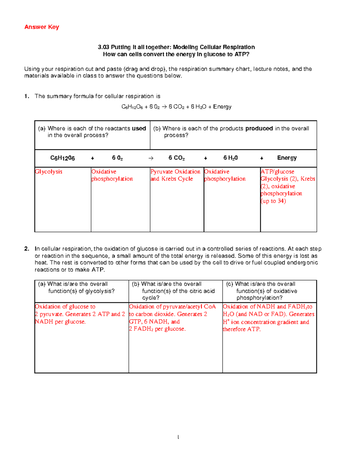 Activity Modeling Cellular Respiration Answer Key BIO 101 Studocu