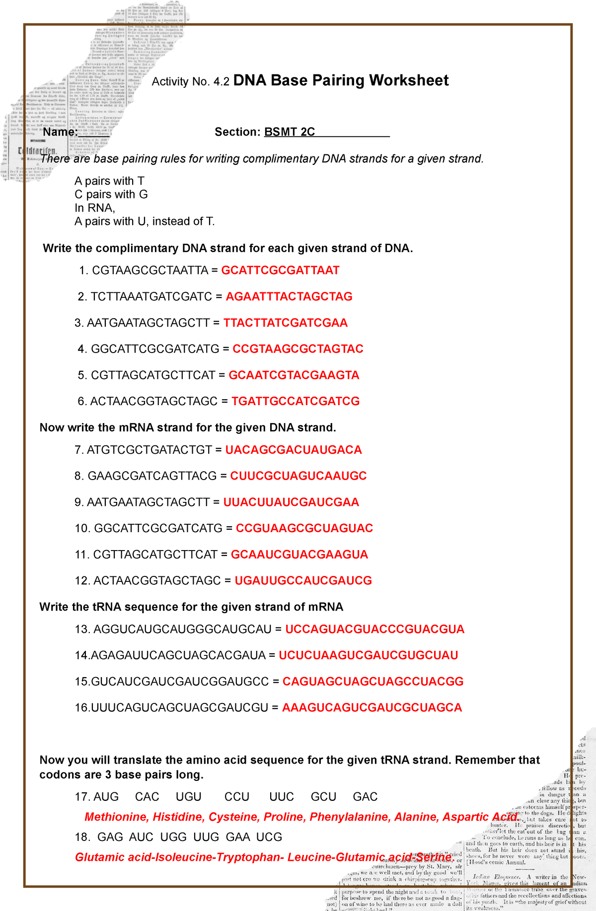 Activity No 4 2 DNA Base Pairing Activity No 4 DNA Base Worksheets Library Activity No 4 2 DNA Base Pairing Activity No 4 DNA Base Worksheets Library