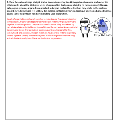 Amoeba Sisters BIOL 101 Levels Of Organization Ecosystem Factors Studocu