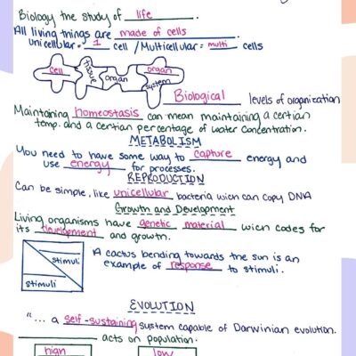 Amoeba Sisters Characteristics Of Life fill In The Blank Notes Answer Key