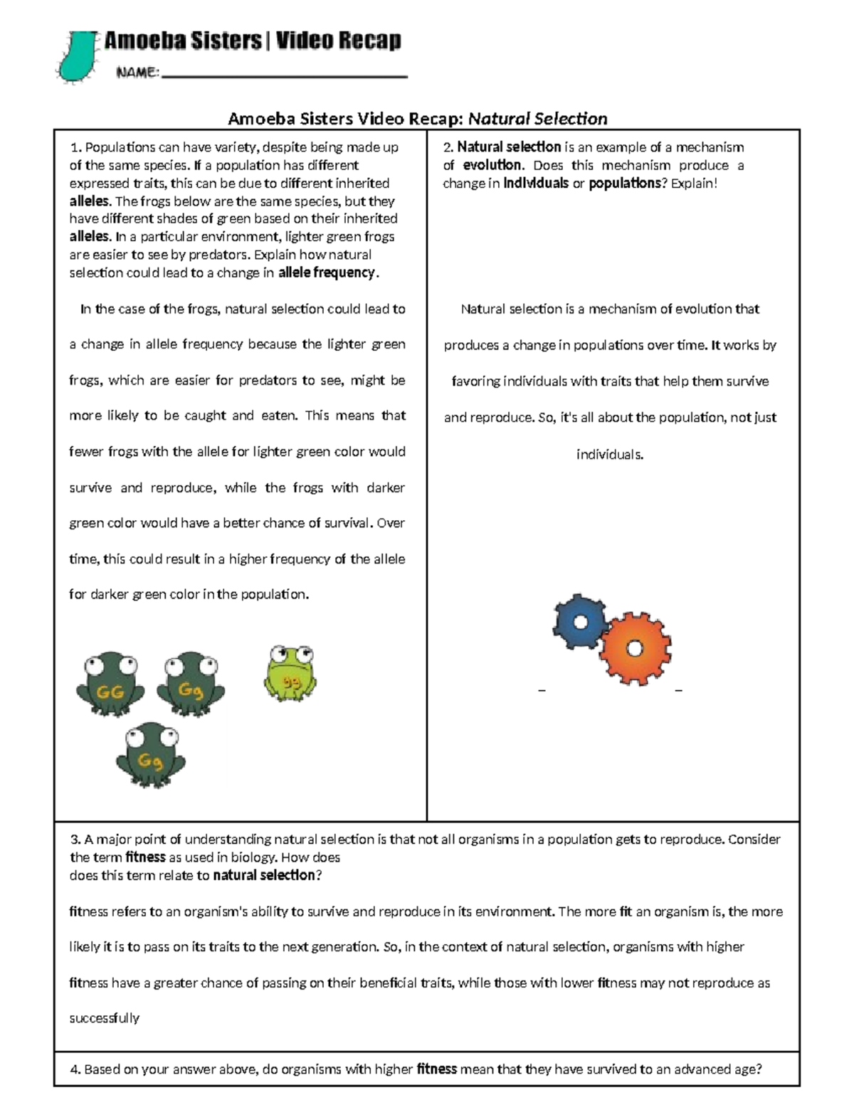 Amoeba Sisters Natural Selection Video Recap Answer Key Studocu Amoeba Sisters Natural Selection Video Recap Answer Key Studocu