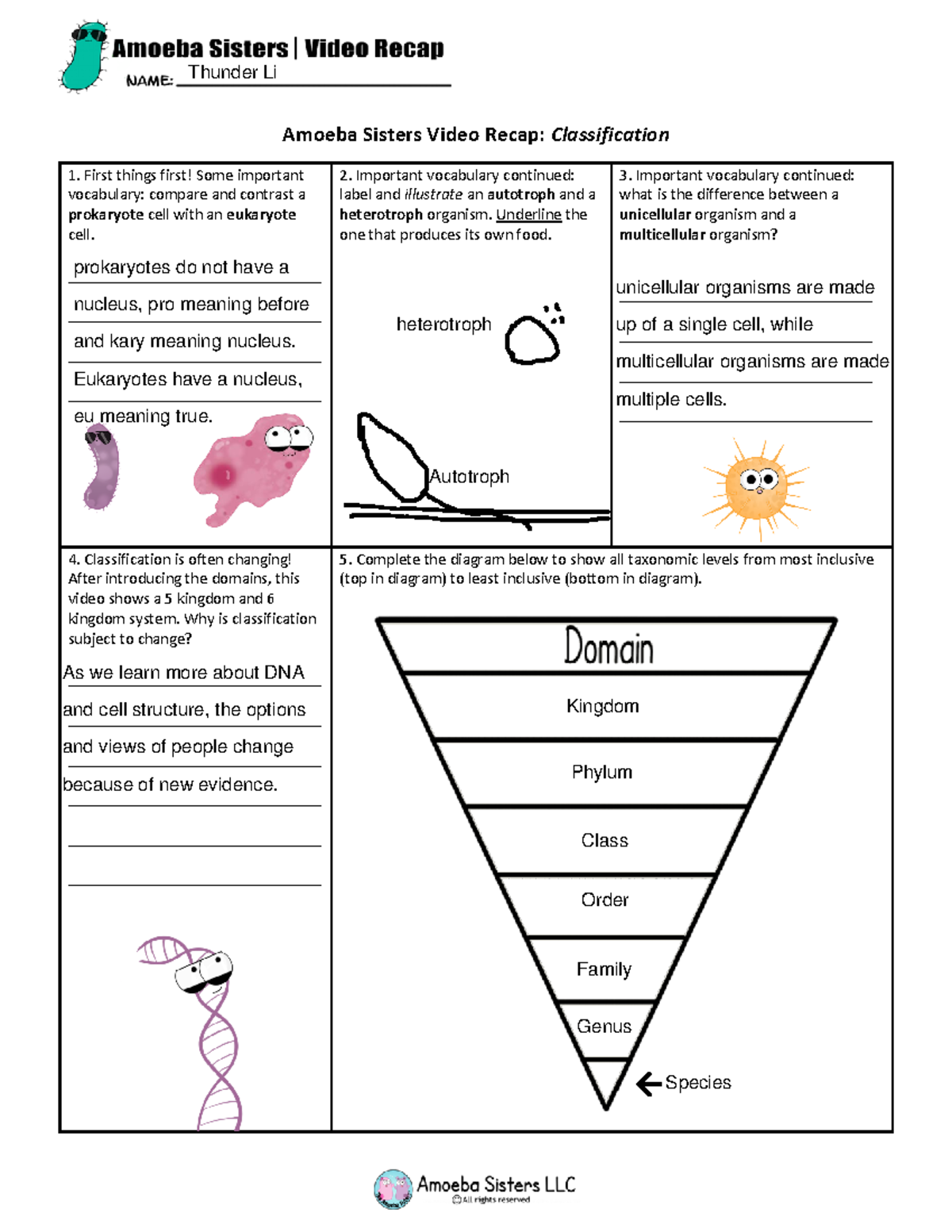 Amoeba Sisters Video Recap Classification And Taxonomy Overview Studocu Amoeba Sisters Video Recap Classification And Taxonomy Overview Studocu