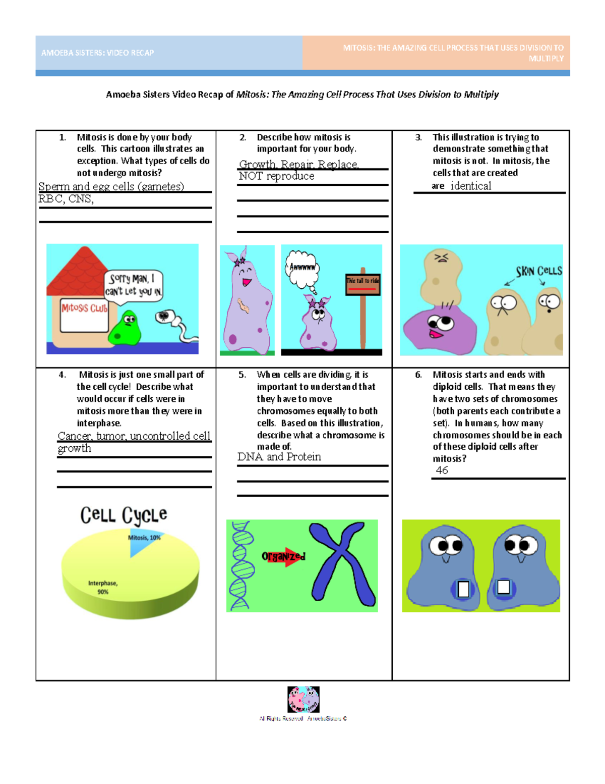 amoeba sisters meiosis worksheet answer key amoeba sisters meiosis worksheet answer key
