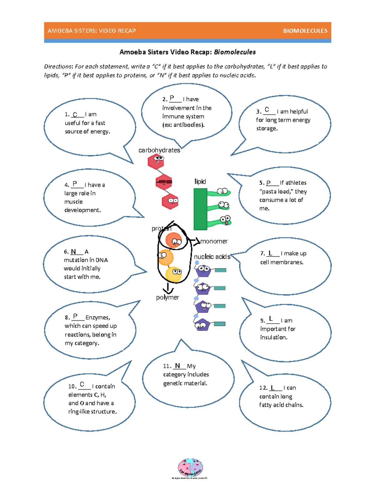 Amoeba Sisters Video Recap Notes On Biomolecules Studocu Amoeba Sisters Video Recap Notes On Biomolecules Studocu