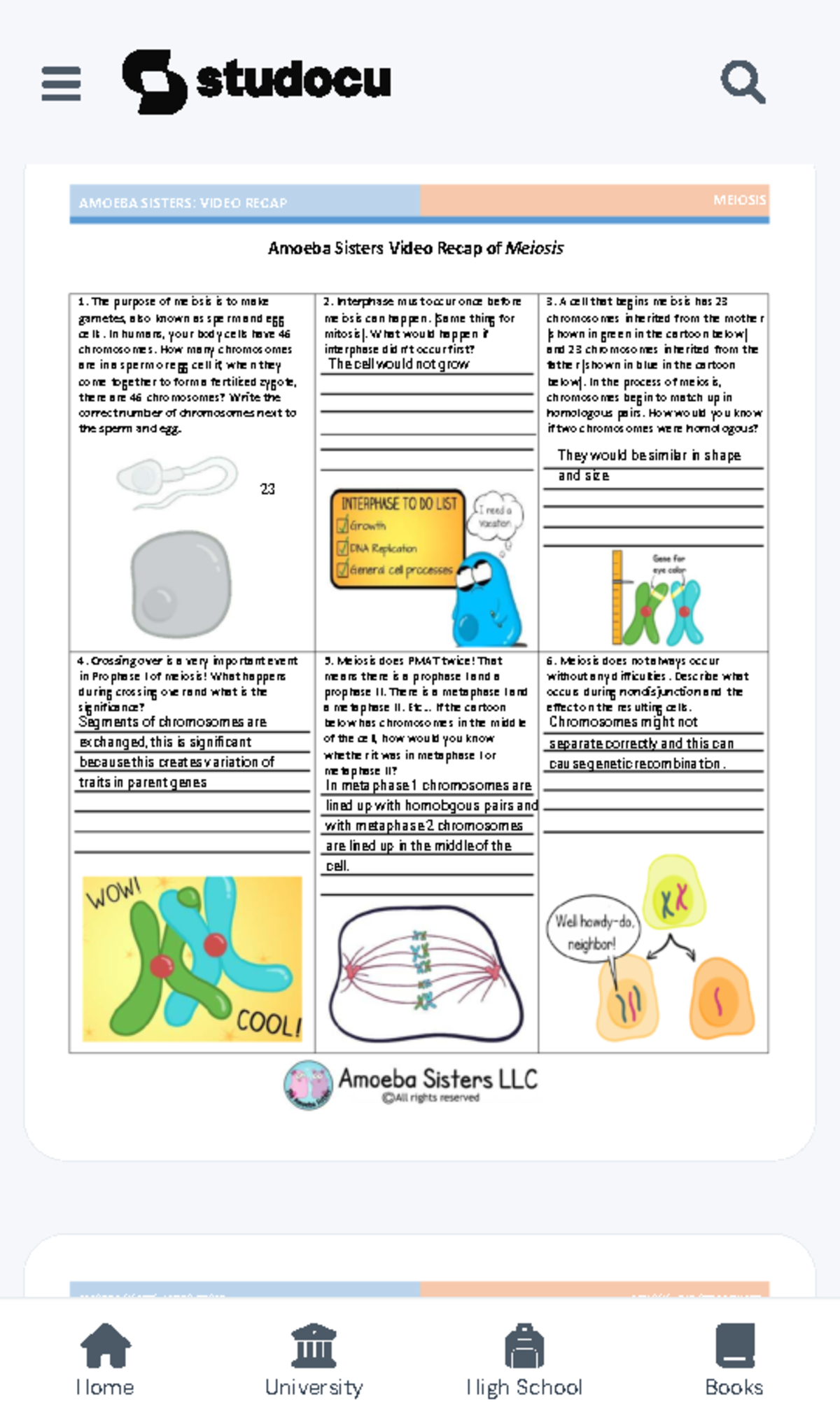 Amoeba Sisters Video Recap Of Meiosis Study Notes Studocu Amoeba Sisters Video Recap Of Meiosis Study Notes Studocu