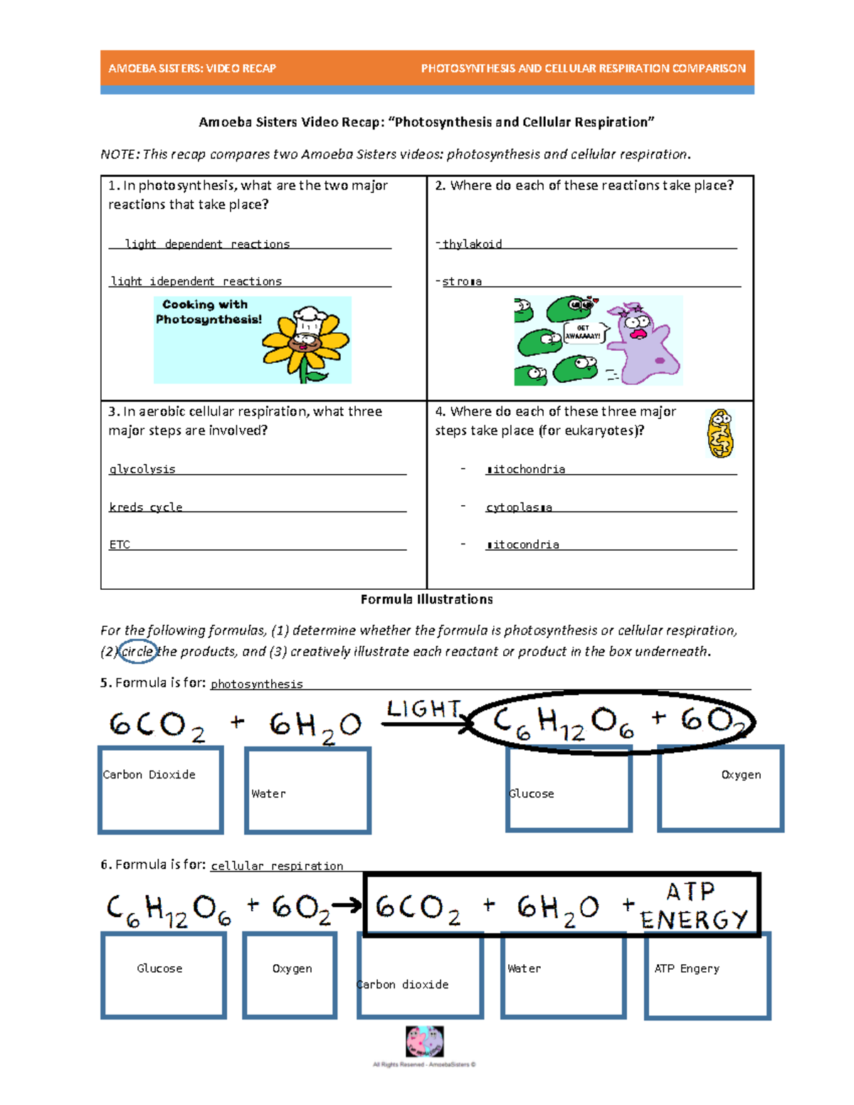 Amoeba Sisters Video Recap Photosynthesis Vs Cellular Respiration Studocu