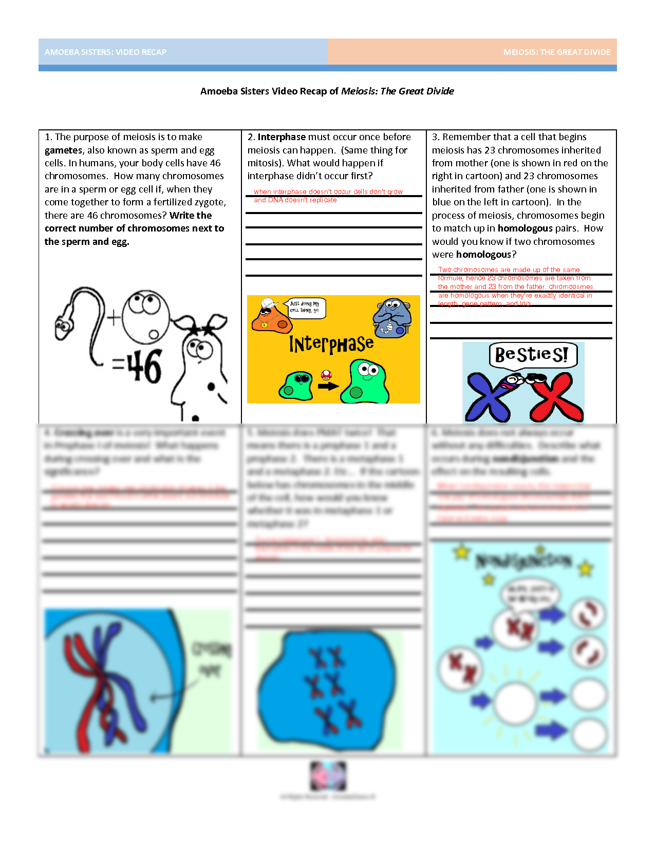 Amoeba Sisters Worksheets Engaging And Educational Biology Resources Amoeba Sisters Worksheets Engaging And Educational Biology Resources