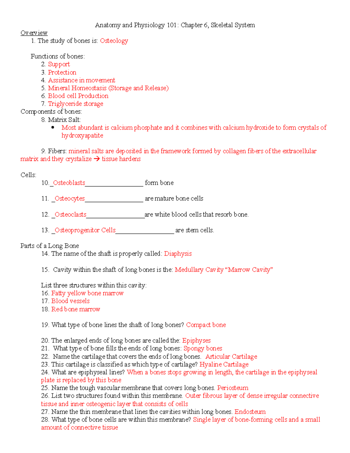 Anatomy And Physiology 101 Chapter 6 Skeletal System Overview Worksheet Studocu