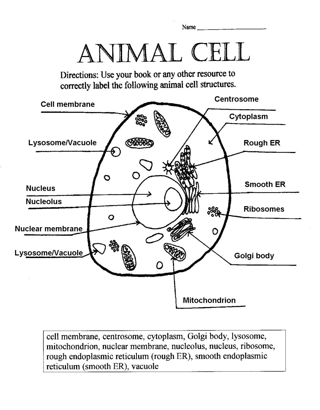 Animal Cell Answer Key Cells Worksheet Plant Cells Worksheet Worksheets Library Animal Cell Answer Key Cells Worksheet Plant Cells Worksheet Worksheets Library