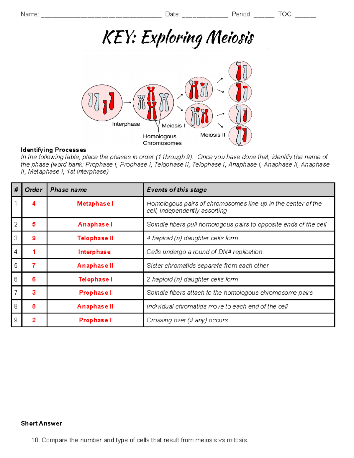 Answer Key Exploring Meiosis Detailed Process Breakdown Studocu Answer Key Exploring Meiosis Detailed Process Breakdown Studocu