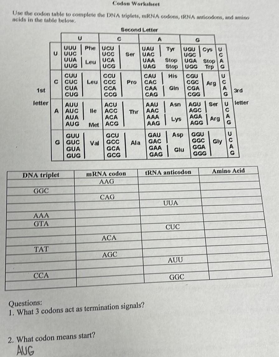 ANSWERED Codon Worksheet Use The Codon Table To Complete The DNA Worksheets Library