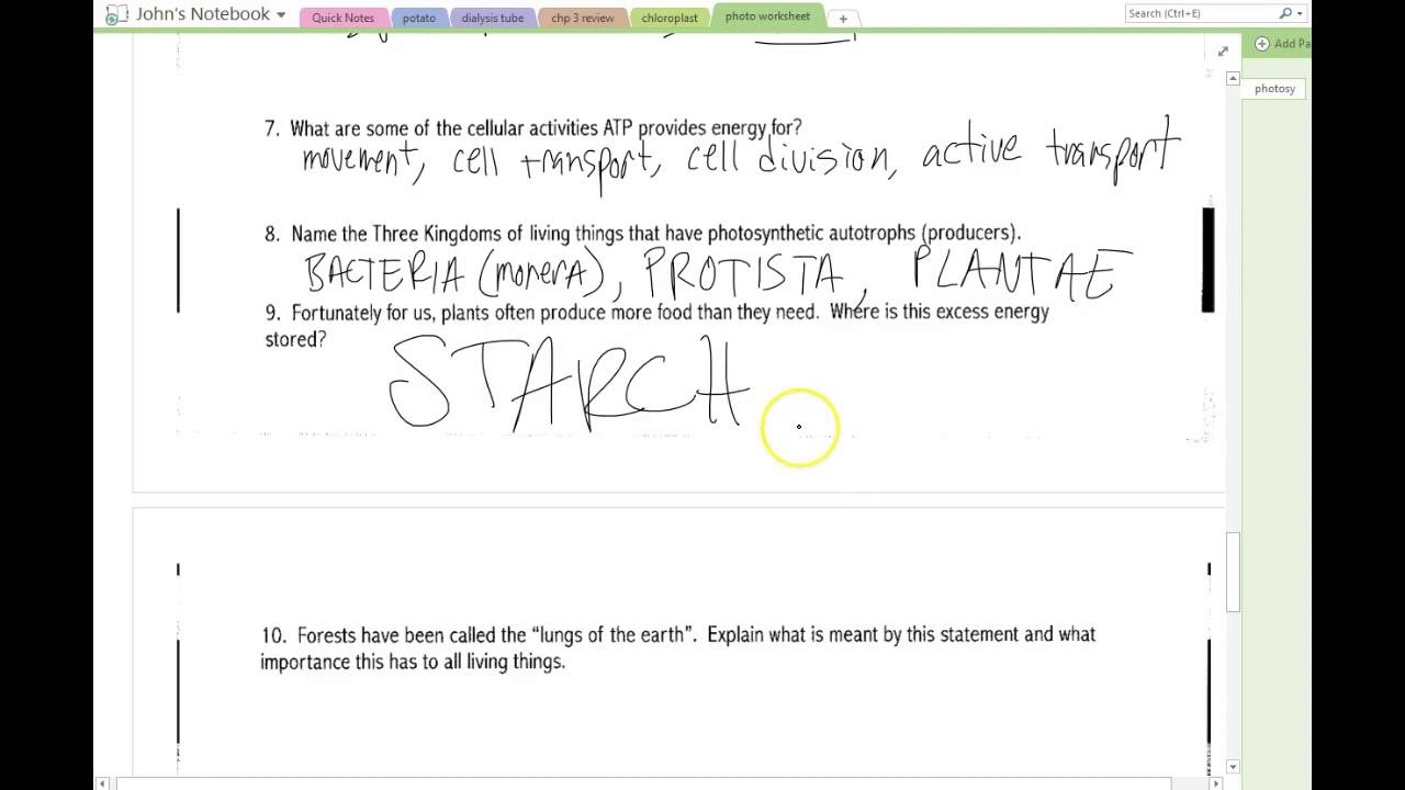 photosynthesis worksheet answers photosynthesis worksheet answers