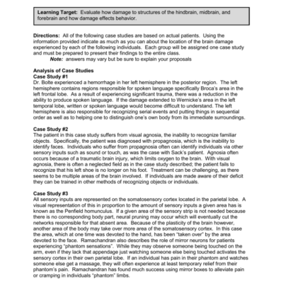 AP Psychology Brain Damage Case Studies KEY