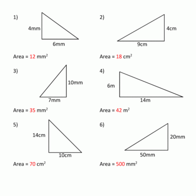 Area Of Right Triangle Worksheets