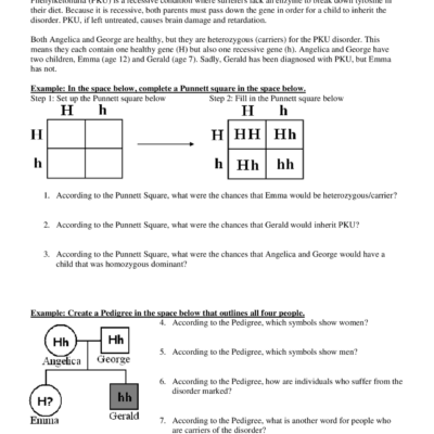 Autosomal Recessive Inheritance Exercises Genetics Docsity