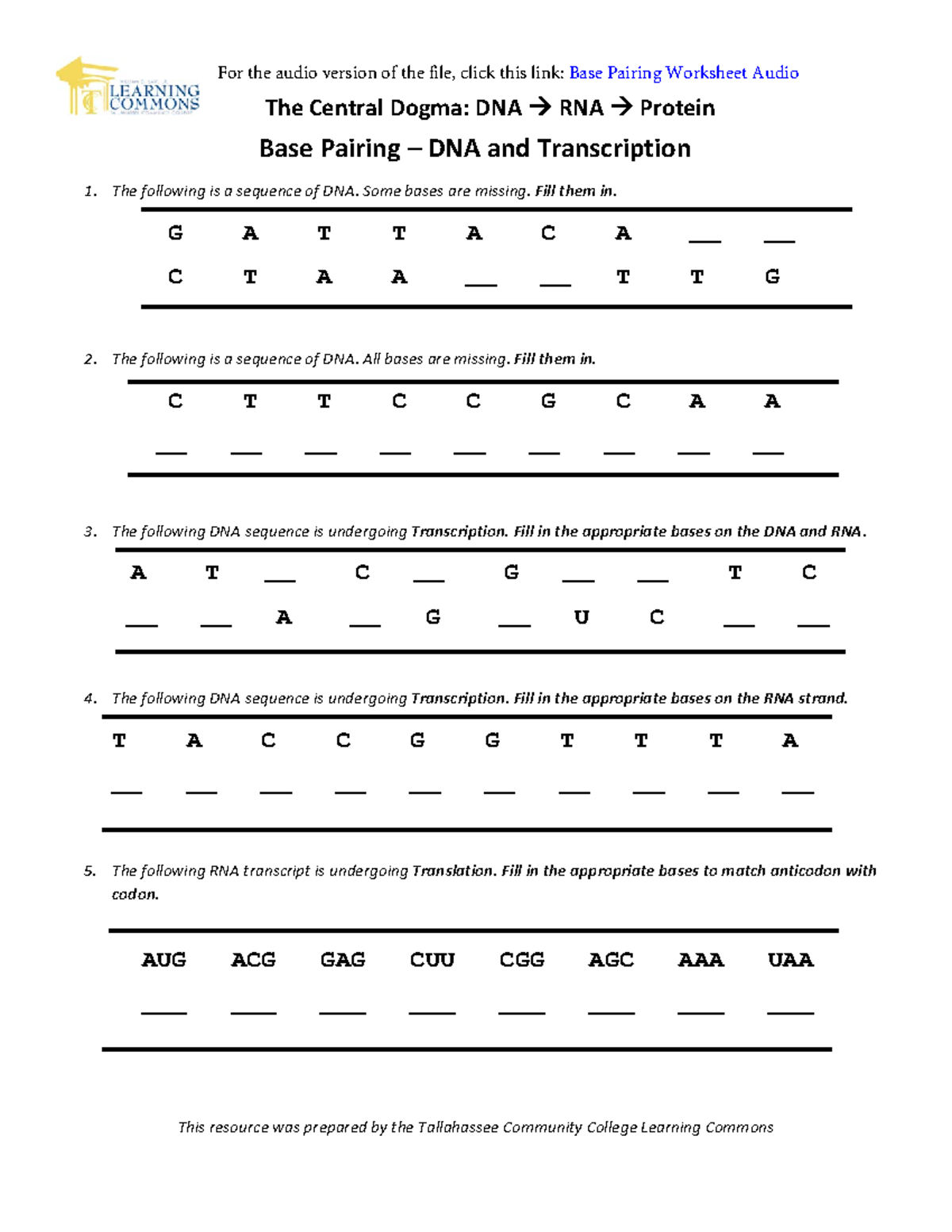 Base Pairing Worksheet For DNA Transcription Practice Studocu Base Pairing Worksheet For DNA Transcription Practice Studocu