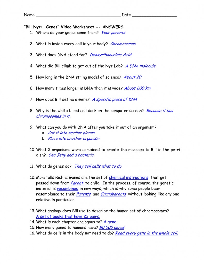 Bill Nye The Science Guy Chemical Reactions Worksheet