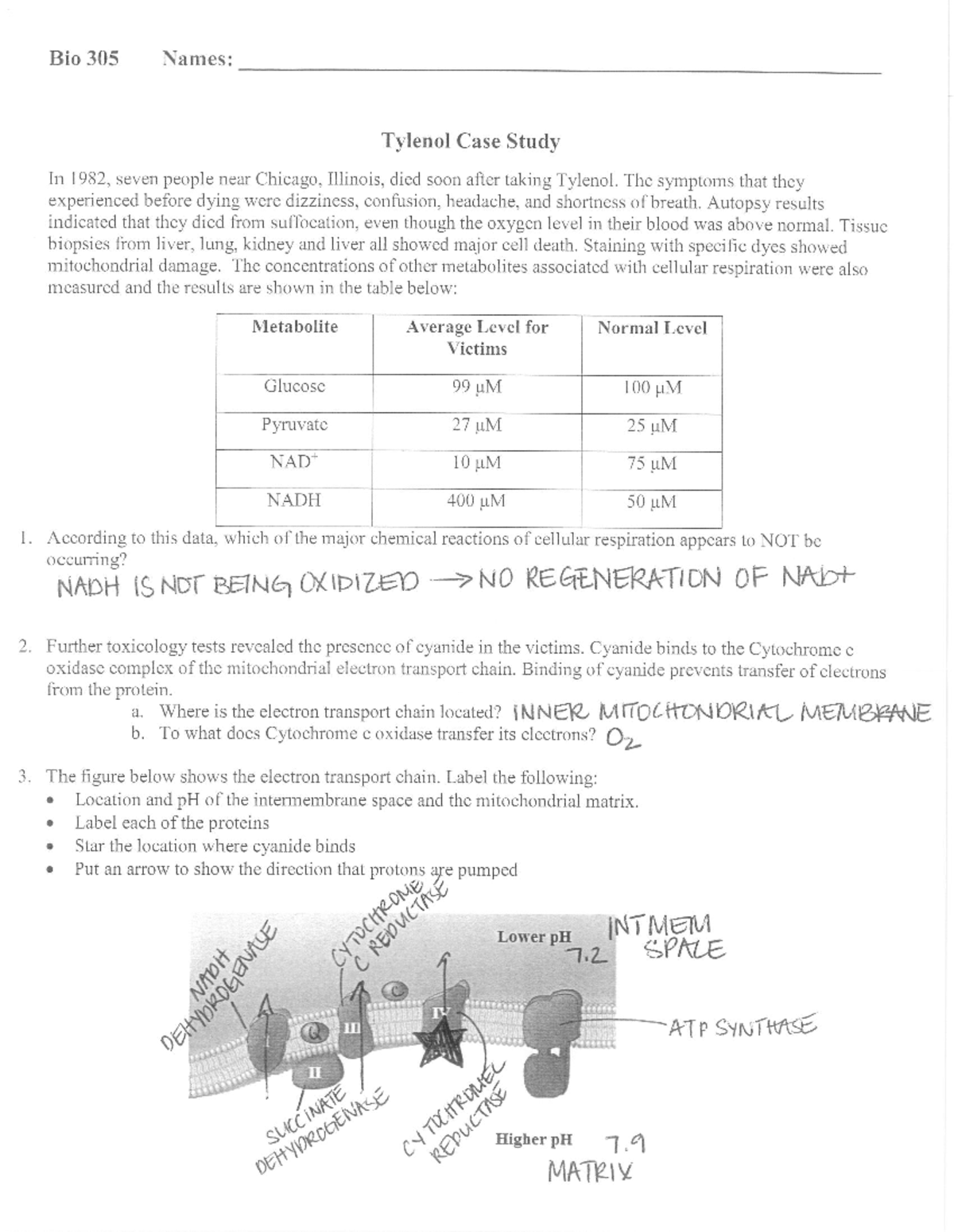 case study worksheet answers case study worksheet answers