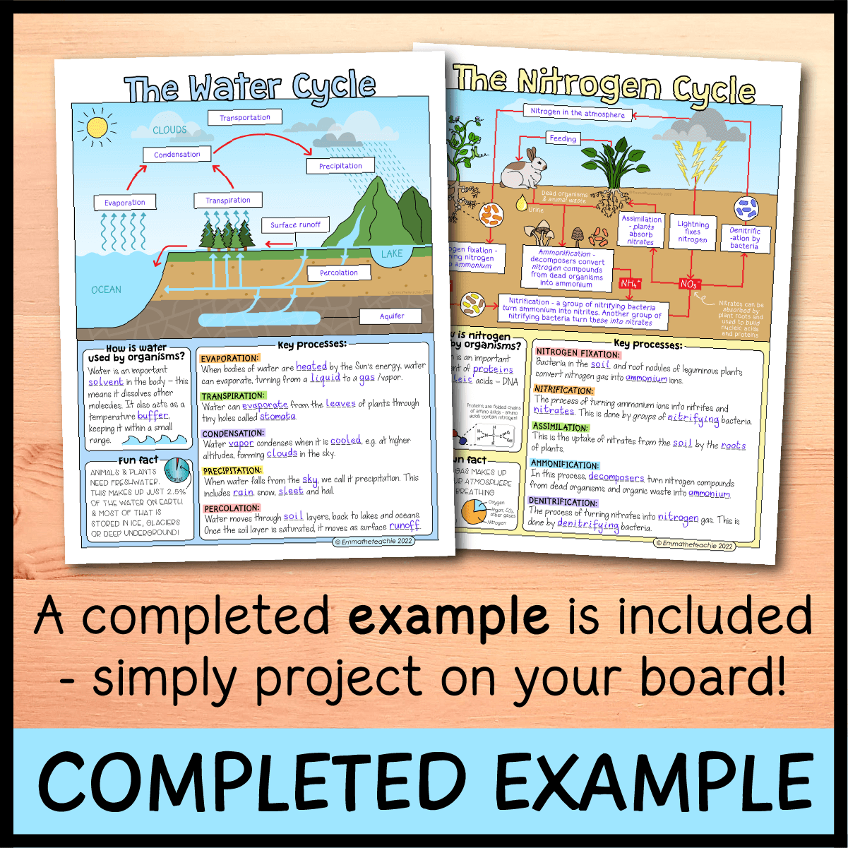 Biogeochemical Cycles Doodle Notes Emmatheteachie