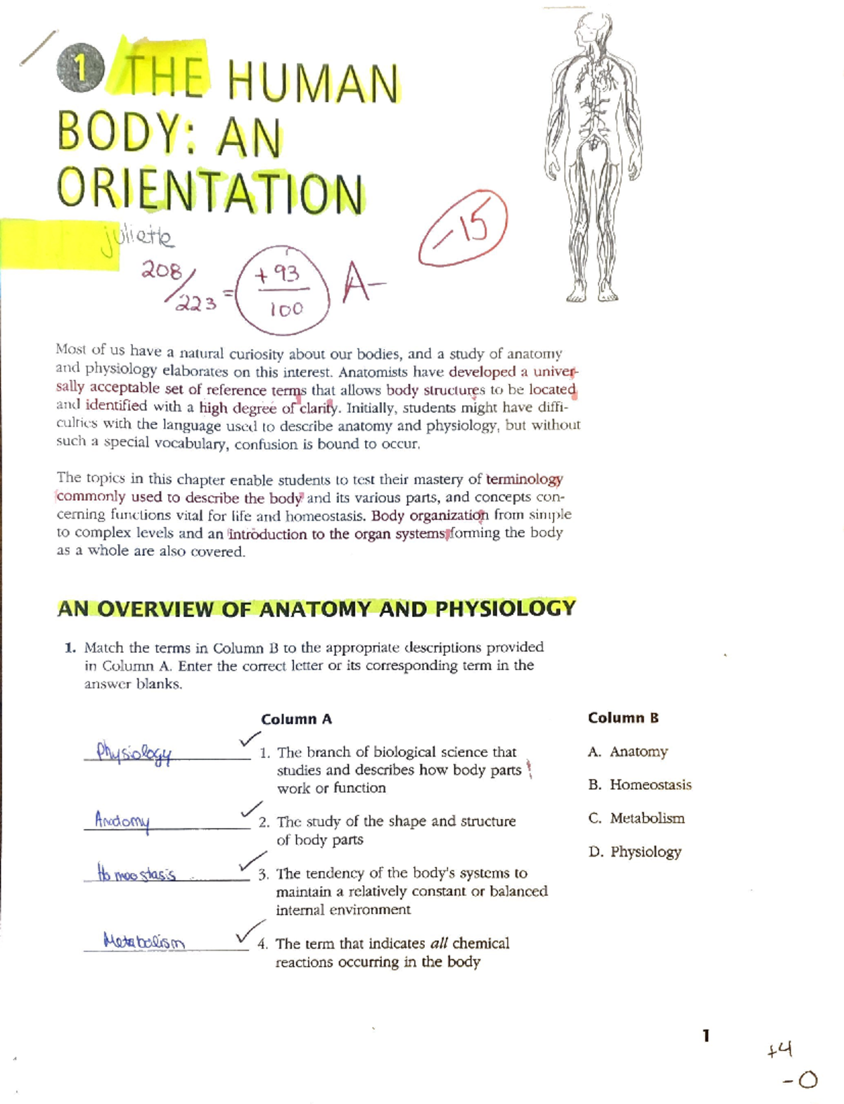 BIOL 2320 Chapter 1 The Human Body An Orientation Exam Review Studocu