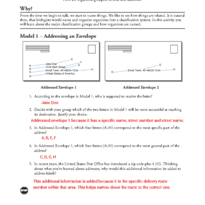Biological Classification Worksheet BIO101 Activities And Models Studocu
