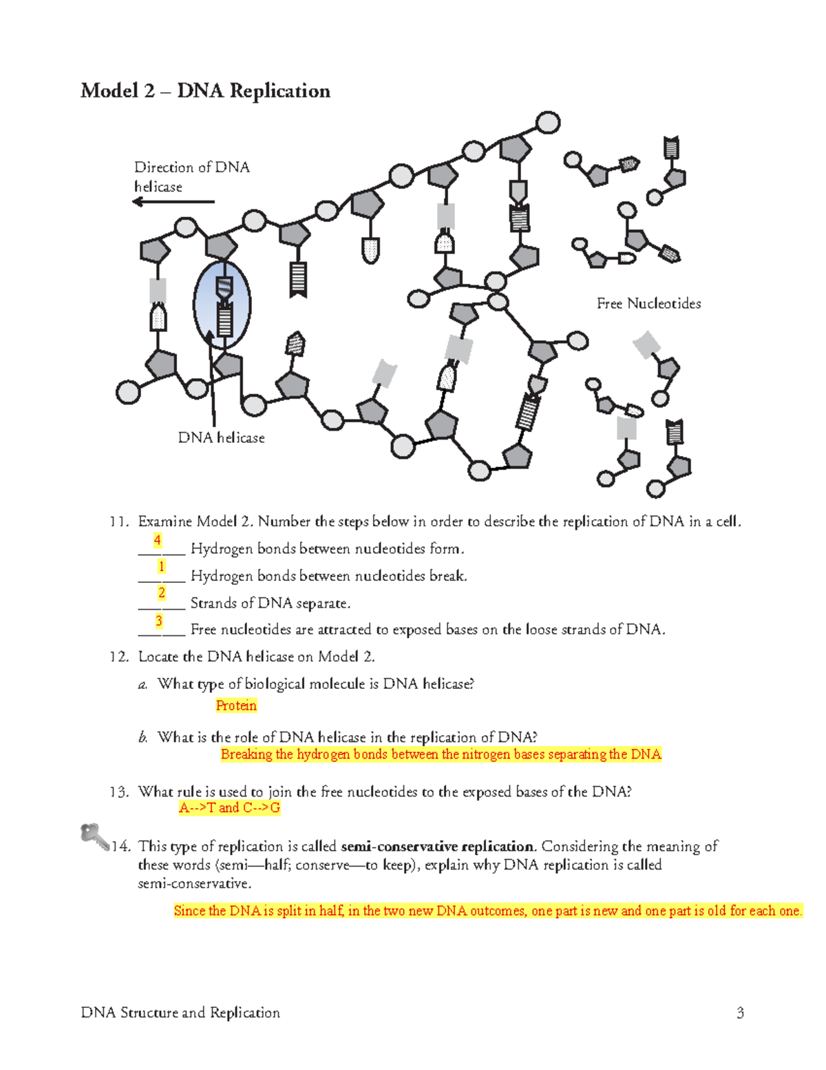 dna replication worksheet answer key dna replication worksheet answer key