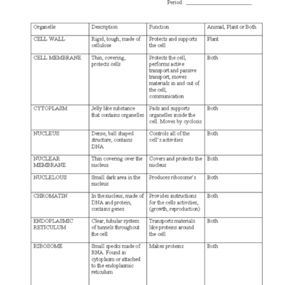 Biology 101 Cell Organelles Worksheet Key And Function Overview Studocu