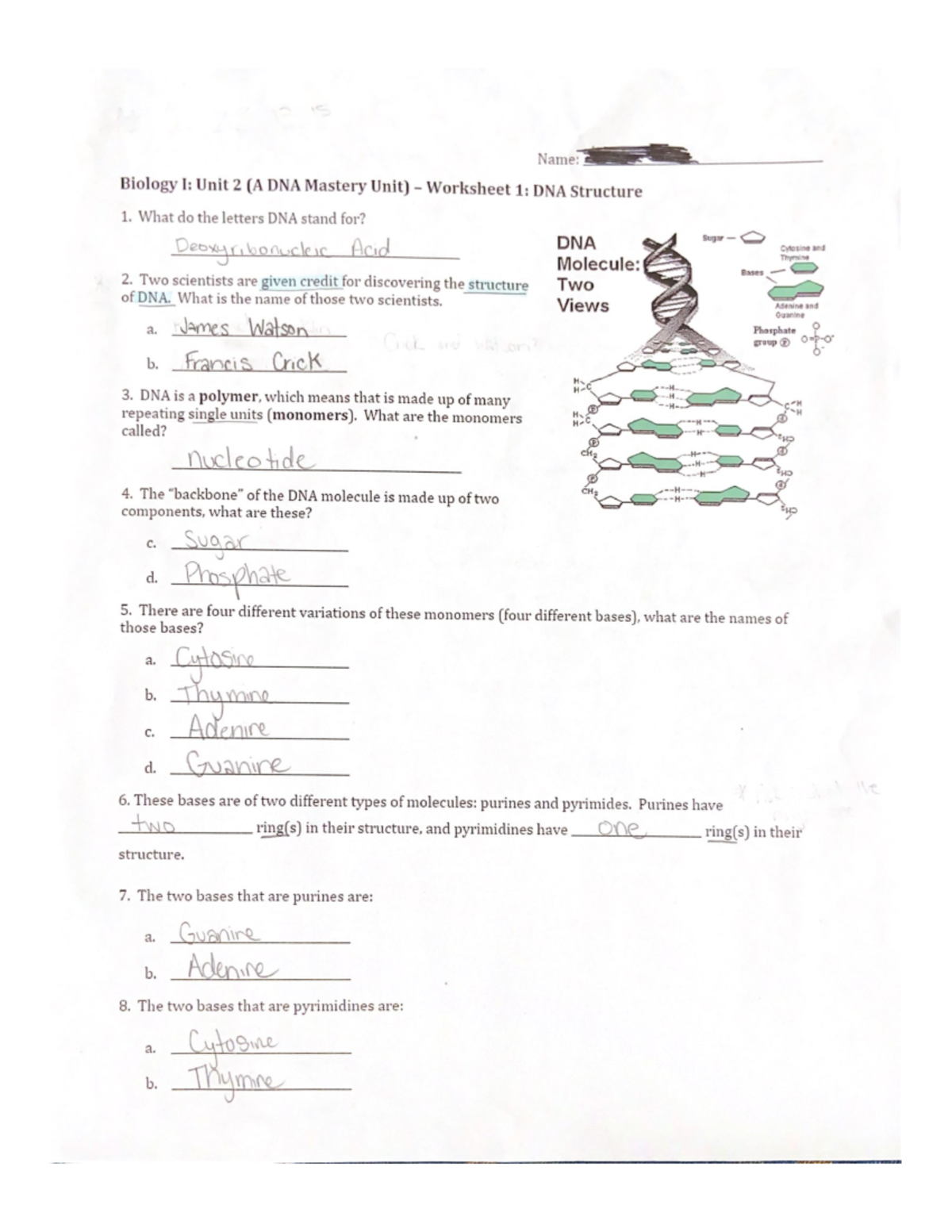 Biology I Unit 2 DNA Structure Worksheet 1 Key Concepts Quiz Prep Studocu