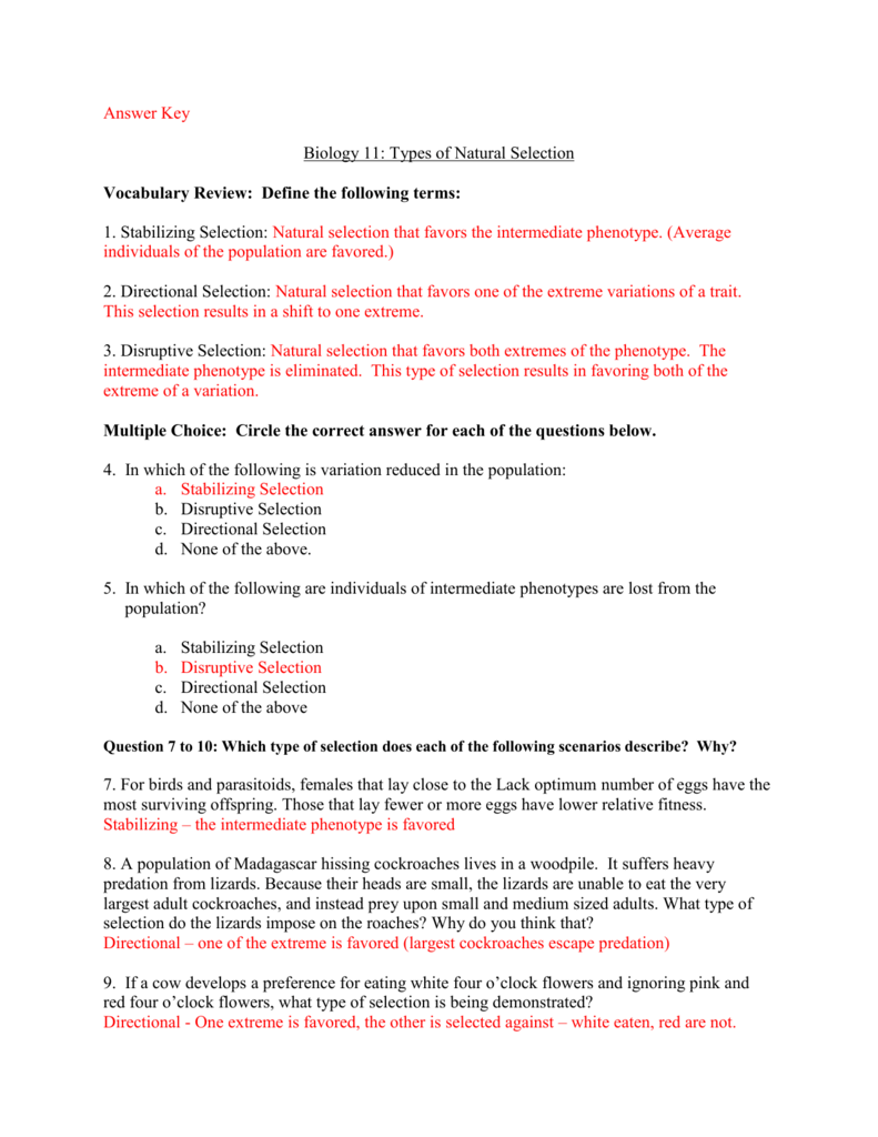 Biology Natural Selection Answer Key High School Biology Natural Selection Answer Key High School