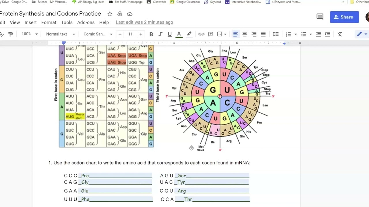 Biology Protein Synthesis Practice WS 4 20 21 YouTube Biology Protein Synthesis Practice WS 4 20 21 YouTube