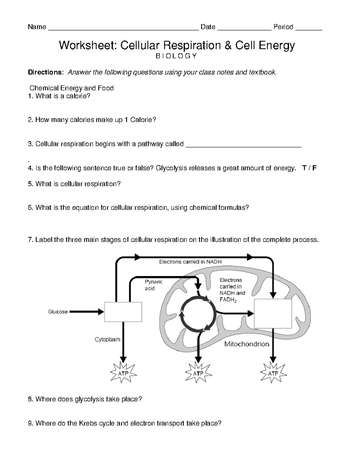 Biology Worksheet Cellular Respiration Cell Energy BIOL 101 Studocu