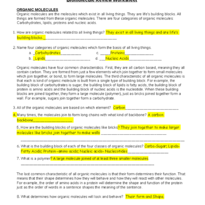 Biomolecule Review Worksheet Comprehensive Study Guide Studocu