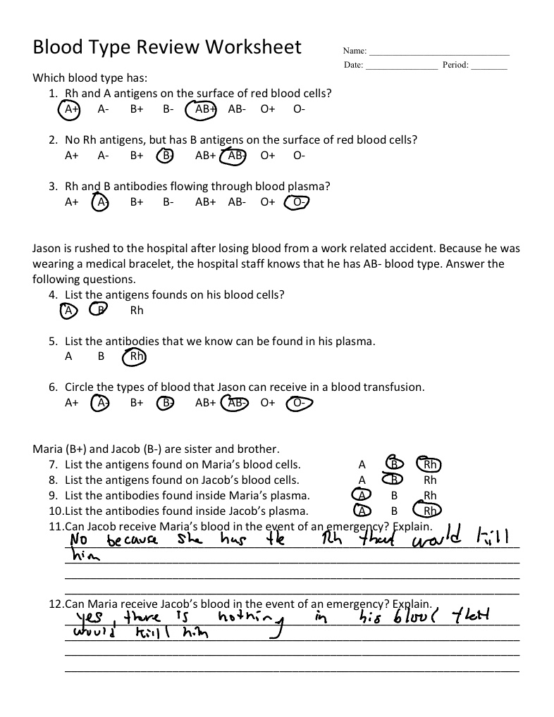 blood types worksheet answer key blood types worksheet answer key