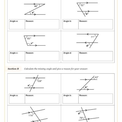 Calculating Angles On Parallel Lines With Transversals A Worksheet PDF Printable Geometry Worksheet Cazoom Math