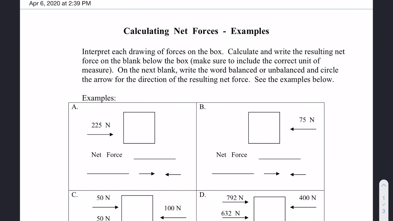 net force worksheet with answers