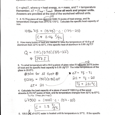 Calculations Involving Specific Heat Worksheet Exercises Chemical Thermodynamics Docsity