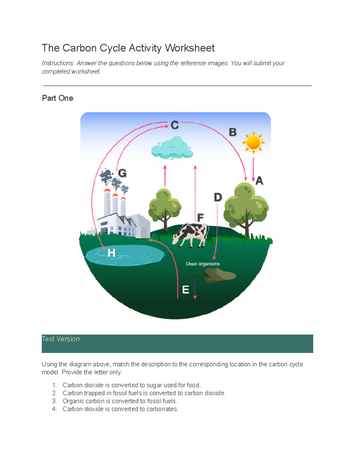 the carbon cycle worksheet answers