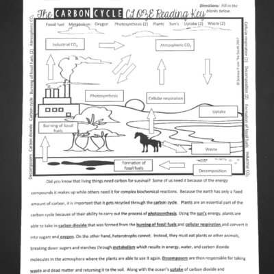 Carbon Cycle Worksheet Answer Key For Cloze Reading Activity Studocu
